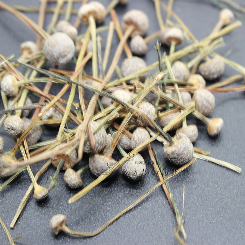 中药材谷精草批发商谷精草图片