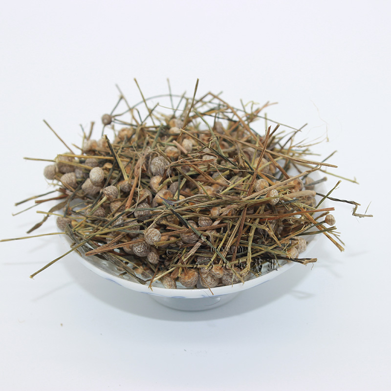 中药材谷精草批发商谷精草图片