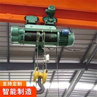 悬挂式钢丝绳电动葫芦结构 销售悬挂钢丝绳电动葫芦