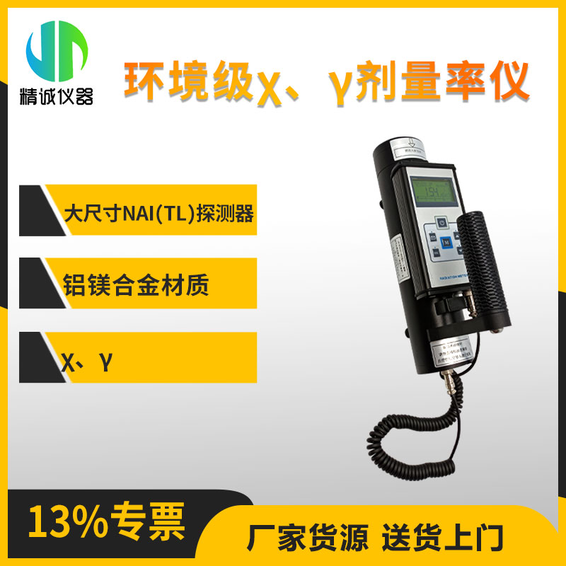 辐射仪 环境级X、Y剂量率仪 便携式辐射剂量仪