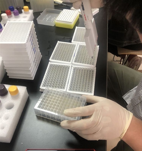 人肌钙蛋白ⅠtnⅠelisa试剂盒上海赫澎生物