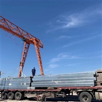 广西玉林钢骨架轻型板09CJ20 神博实体厂家