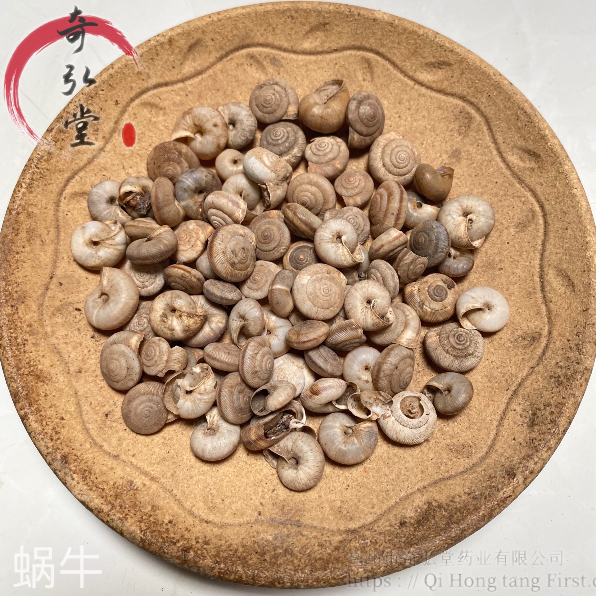 性状性状鉴别 全体已缩入螺壳内,呈扁球形,球形或类圆锥形,直径约1cm.