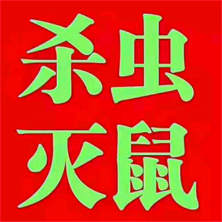 家庭公司灭鼠单位灭鼠西安灭鼠公司