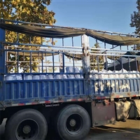 盈润 云南公路抗裂贴 50cm宽防裂贴昆明代理商