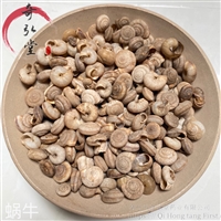 中药材蜗牛-蜗牛的价格