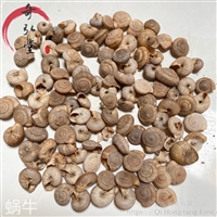 中药材蜗牛-蜗牛功效与作用