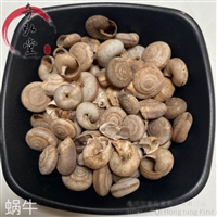 中药材蜗牛-蜗牛今日报价