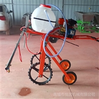 喷杆卷盘两用打药机 多功能小型自走式打药机 喷杆喷雾机