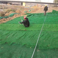 三维植被网 护坡植草网 EM3植被网厂家