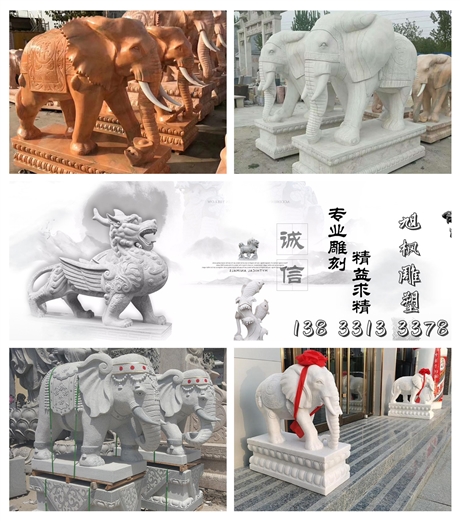 石雕大象 汉白玉大象厂家