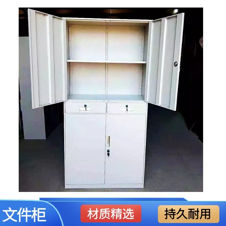 潍坊双节两门文件柜生产价格 铁皮储物柜 资料文件柜杰顺柜业