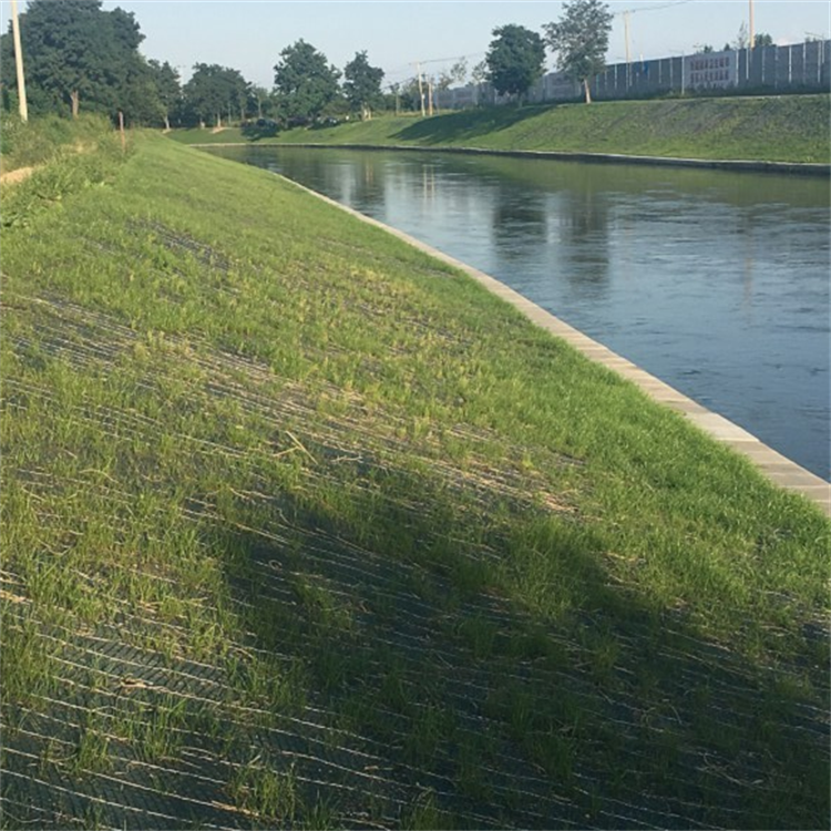 乌鲁木齐生态植草毯加筋防冲毯河道护坡植生毯工厂自营