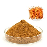 蟲草菌絲體粉 斯諾特支持定制 濃縮噴霧浸膏水溶粉末