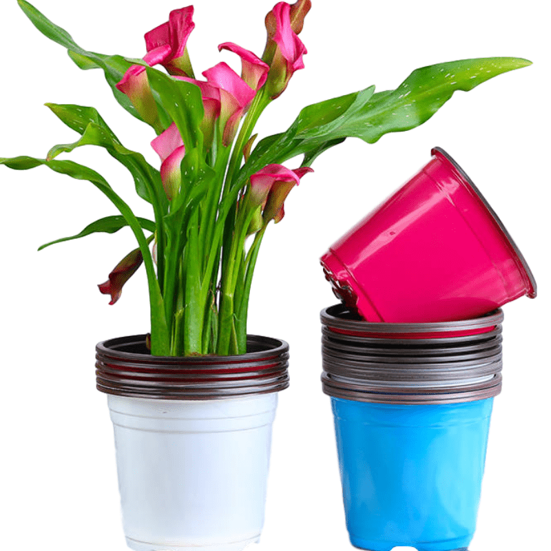 加厚双色花盆育苗盆营养杯钵多肉菜苗叶插塑料一次性简易塑料花盆