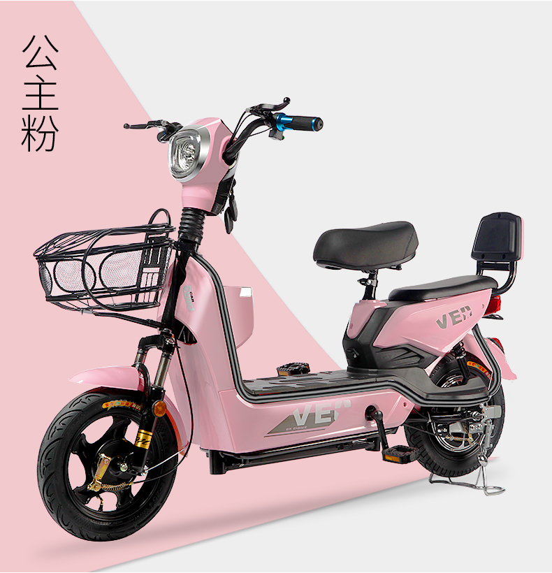 野外新国标电动车小型车电动自行车48v成人代步车女士电瓶车助力