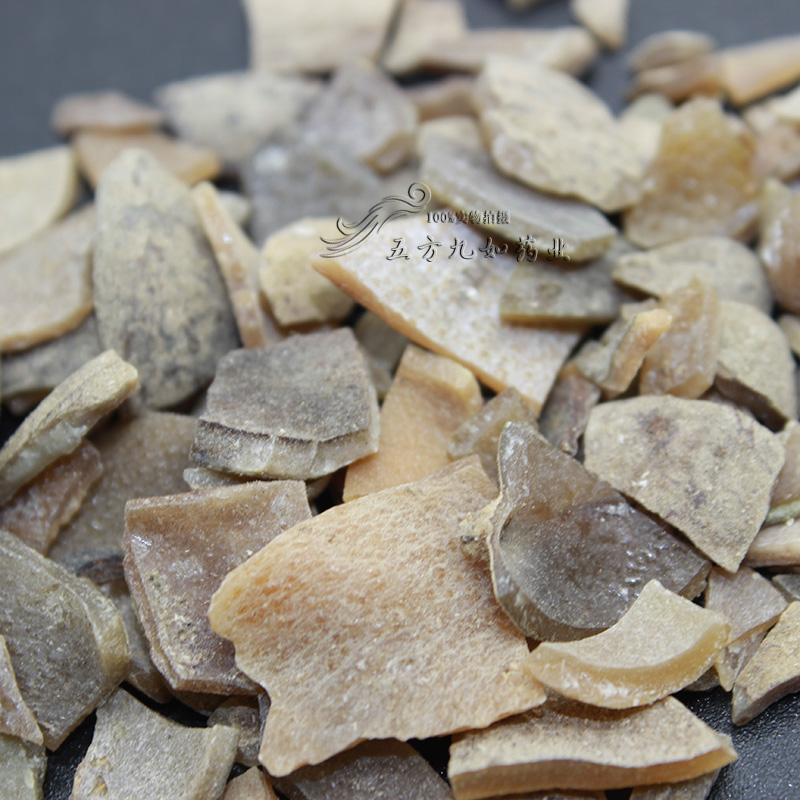 中药材五倍子价格 五倍子批发商 五倍子图片