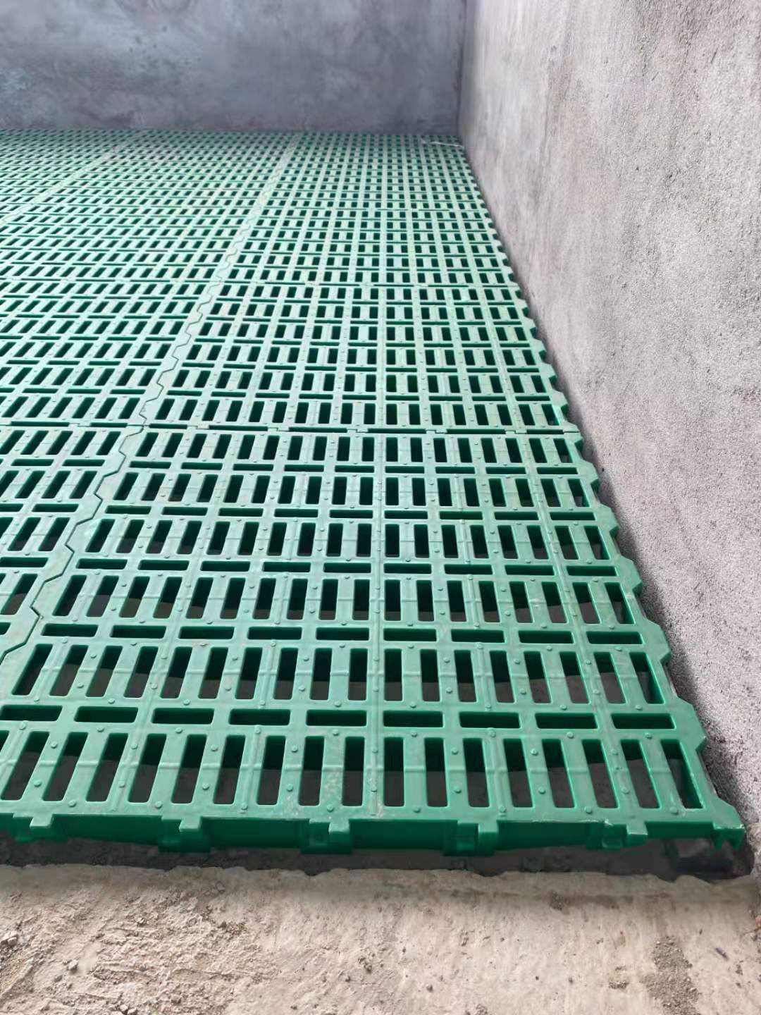 波尔山羊漏粪板 塑料羊床 种羊漏粪板 得利畜牧