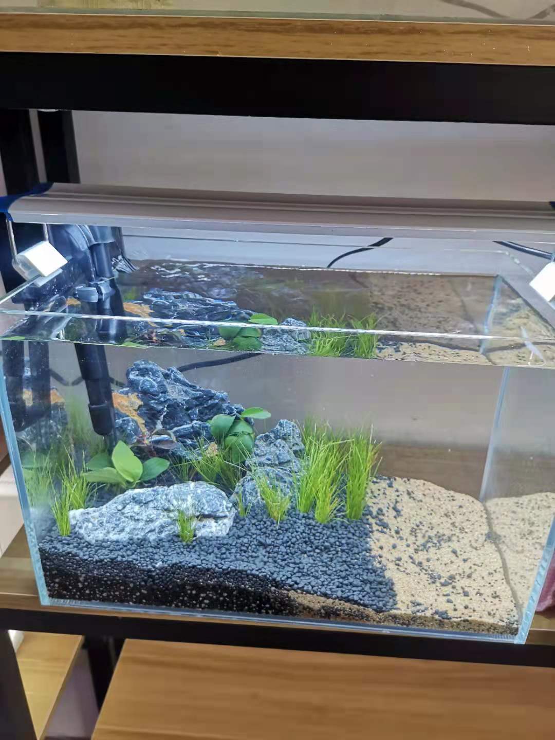 青岛市北区铁山路清洗鱼缸