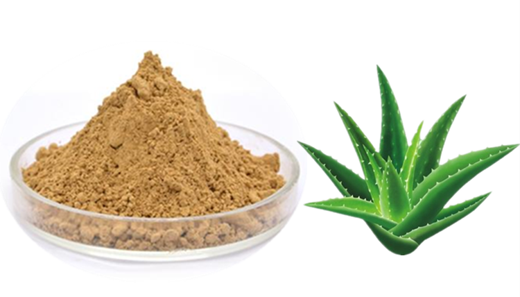 芦荟多糖芦荟提取物斯诺特生物可定制生产浸膏