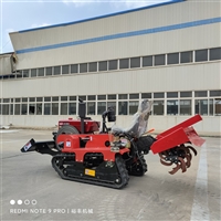 25马力大棚果树施肥机 25马力微型施肥机 小型履带施肥厂家