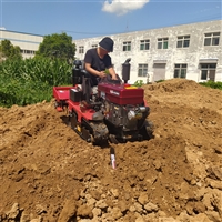 25马力大棚果树施肥机  家用大姜种植开沟机  农田菜园管理机