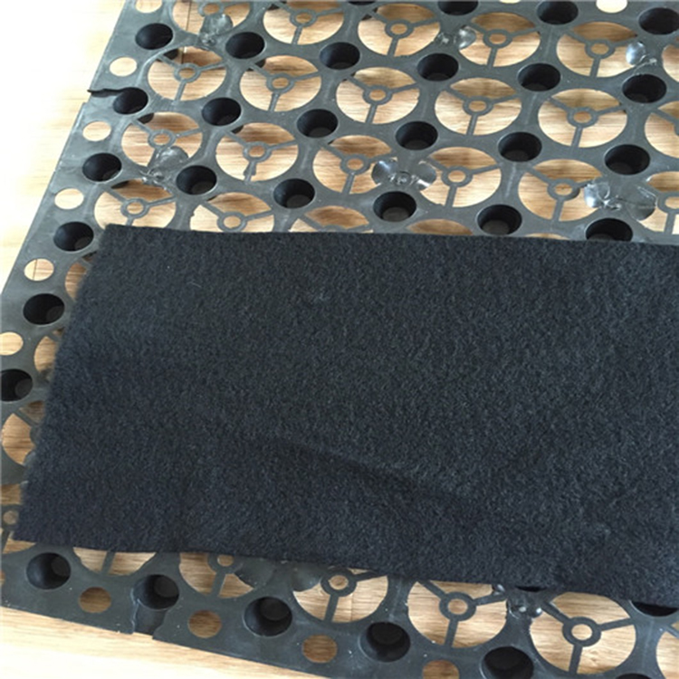 沧州Hdpe蓄排水板 2公分3公分 质量保障