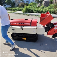 履带式田园旋耕机 果园施肥机 果园大棚专用机