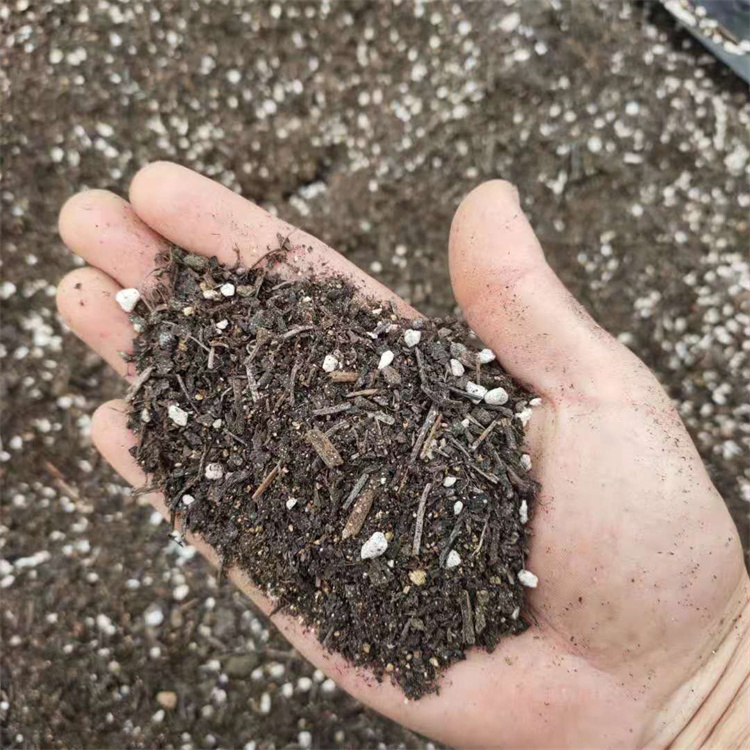 沈阳大棚种菜用草炭土 绿萝种花草炭土泥炭土