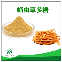 蛹蟲草多糖蛹蟲草提取物 斯諾特生物 可定制生產(chǎn)