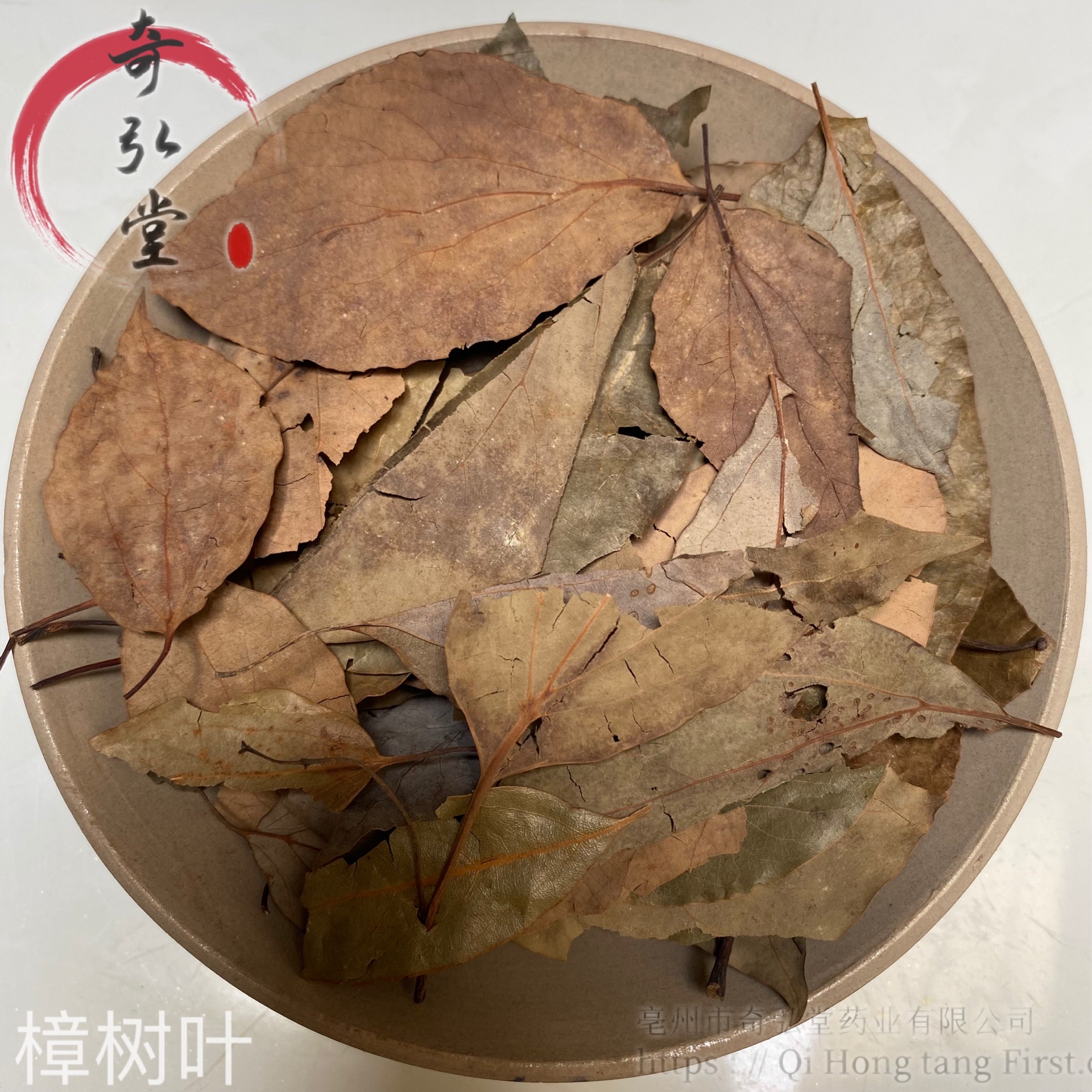 中药材樟树叶樟树叶的价格