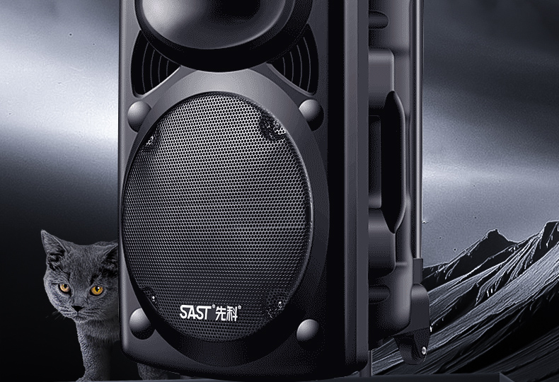 先科512广场舞音响户外12寸移动拉杆音箱蓝牙k歌促销大功率充电带无线