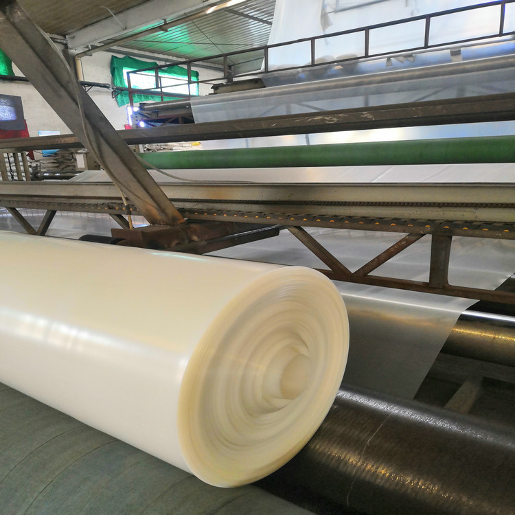 重庆20丝厚聚乙烯防潮膜