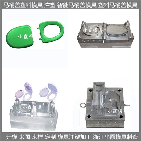 马桶盖塑胶模具马桶塑胶模具