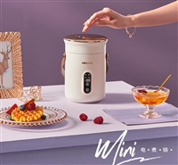 TER电炖锅小型迷你粥锅合肥代理商