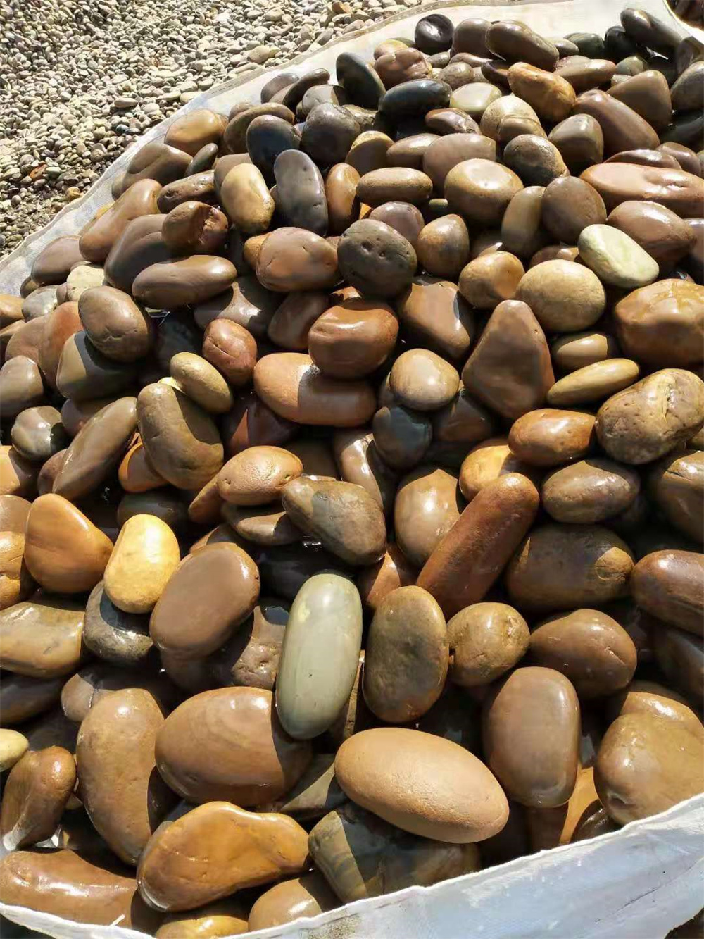 杂色鹅卵石庭院铺路石材 绿植铺面鱼缸造景 鹅卵石厂家批发