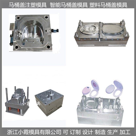 全自动马桶盖塑胶模具
