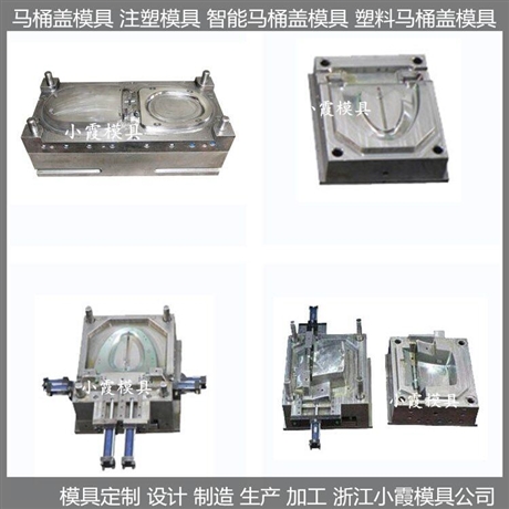 智能塑料马桶盖模具蹲便器模具