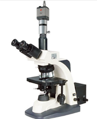 BM-SG10C高级生物显微镜 荧光显微镜 倒置生物显微镜 高倍率显微镜 电子显微镜