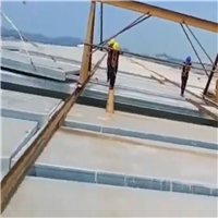 轻型钢骨架屋面板 神博09CJ20规格6000*1500