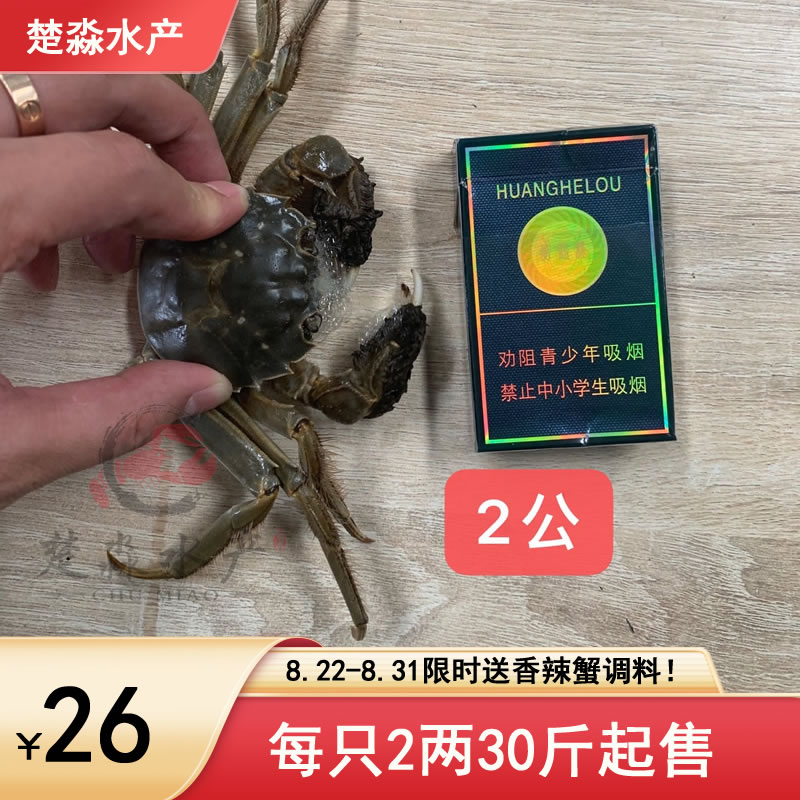 鮮活大閘蟹/六月黃螃蟹每只2兩小規格26元/斤，8月21到31日限時滿30斤送香辣蟹調料
