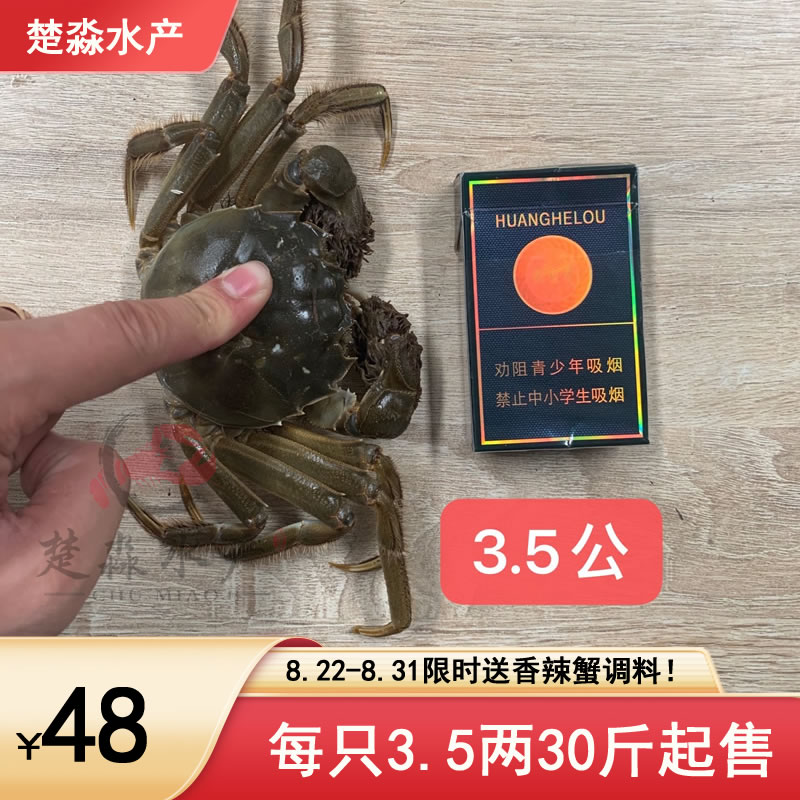 鮮活大閘蟹/六月黃螃蟹每只3.5兩中等規格48元/斤，8月21到31日限時滿30斤送香辣蟹調料