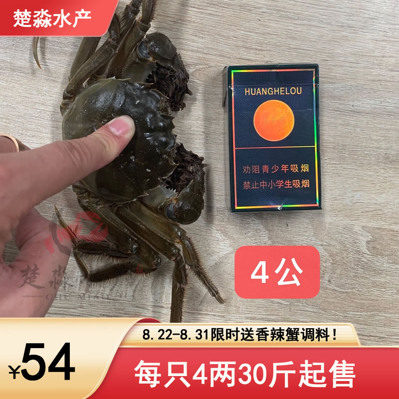 鮮活大閘蟹/六月黃螃蟹每只4兩大規格54元/斤，8月21到31日限時滿30斤送香辣蟹調料