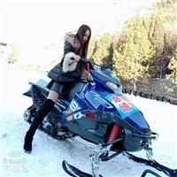 戏雪乐园设备 雪地摩托车 碟杀液压系统 儿童雪地摩托车