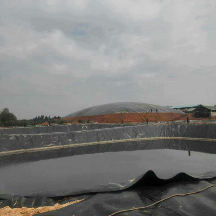 广东2.0mm高密度聚乙烯膜