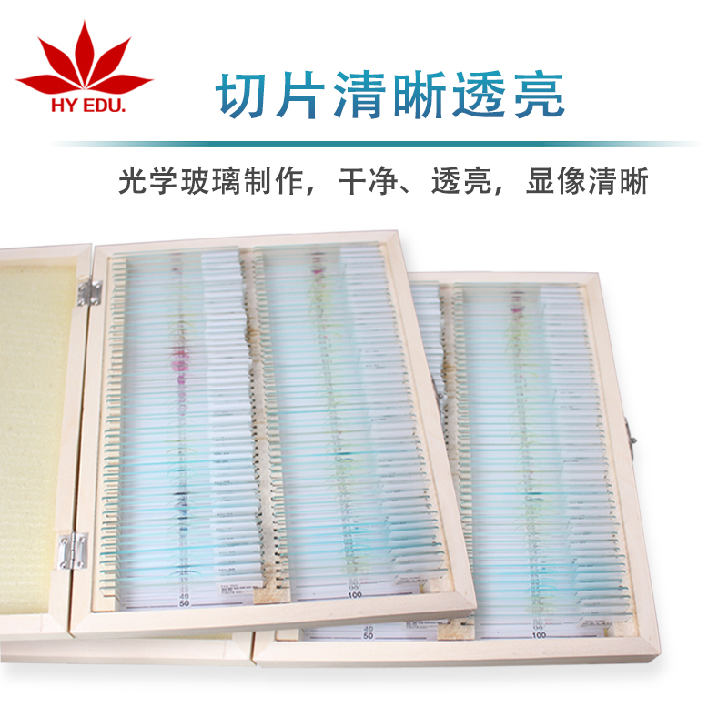 显微镜配件玻片标本 200种 动植物细菌混装切片 英文标签 生物标本