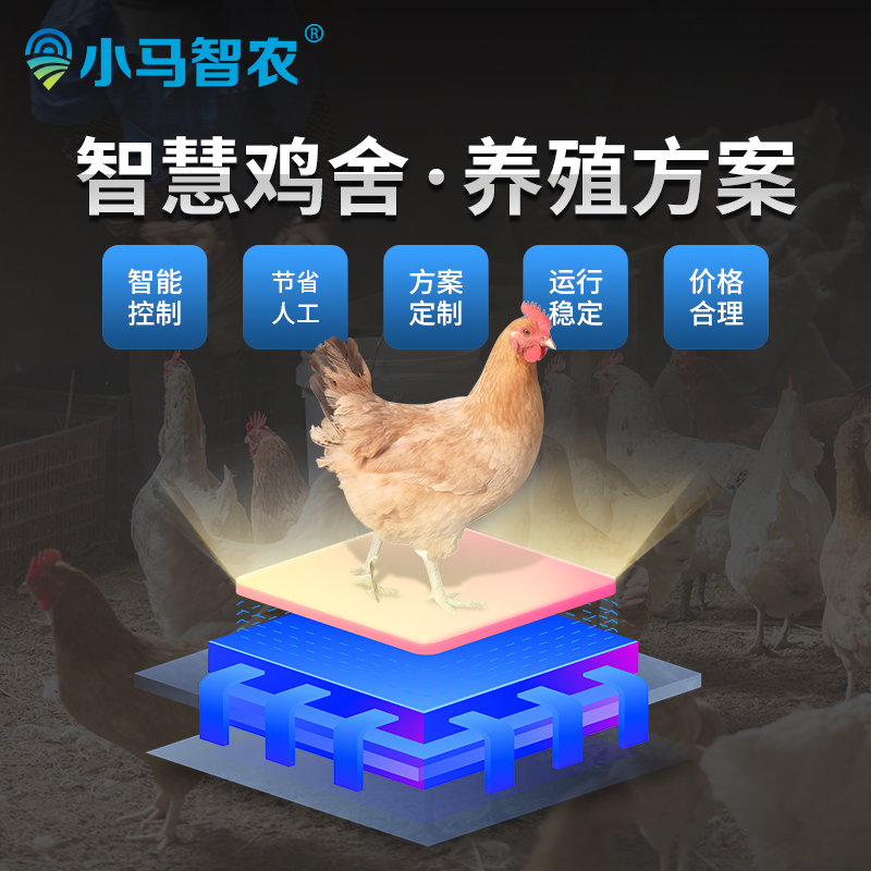 小马智农现代化物联网智慧养殖智慧鸡舍物联网解决方案