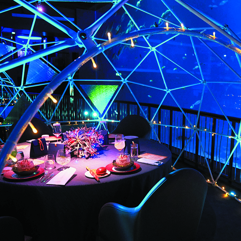 沉浸式投影  水幕电影