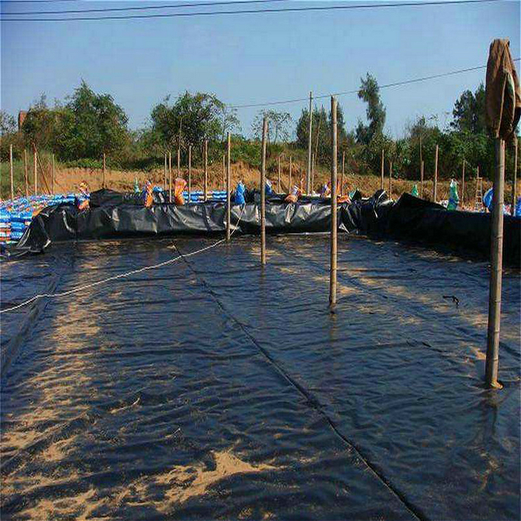 双糙面2.0HDPE土工膜