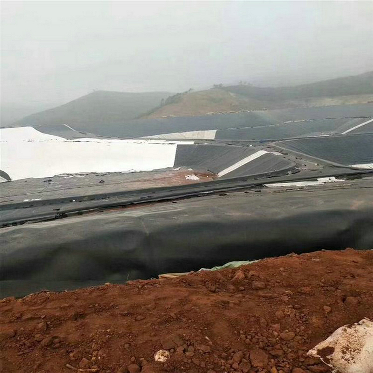 海南1.2厚高密度聚乙烯膜